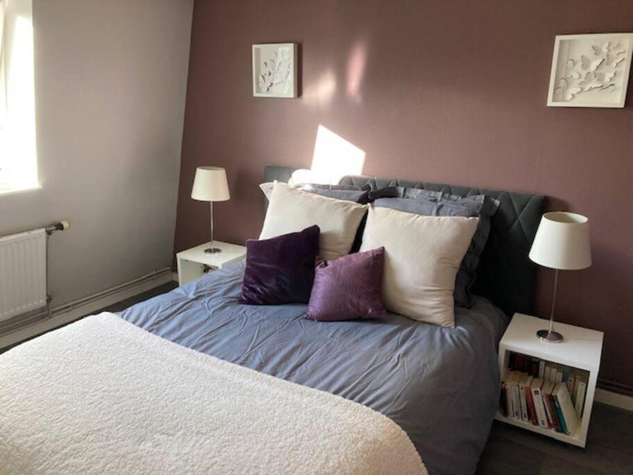 Agreable Et Spacieuse Maison Centre Ville Saint-Omer 外观 照片